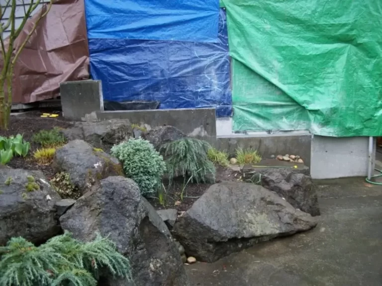 image00005